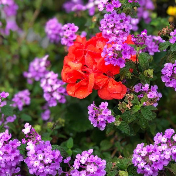 Danie here, - Picture 13 of 16